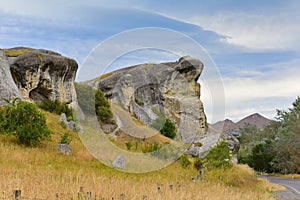 Frog rock along Weka Pass in New Zealand