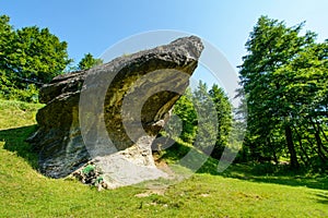Frog Rock from Cisnadioara village, near Sibiu city, Transylvania, Romania