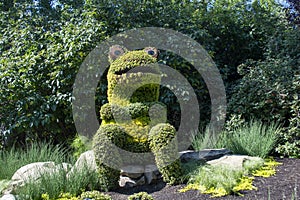 Frog shaped bushed in green landscaped gardens