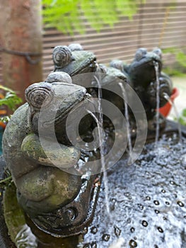 Frog-shaped water fountain carved in stone