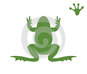 Frog silhouette. Abstract frog on white background