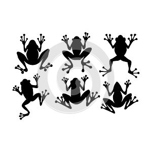 frog silhouette collection