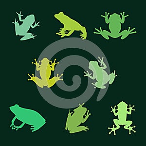 Frog Silhouette Set