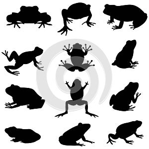 Frog silhouette set