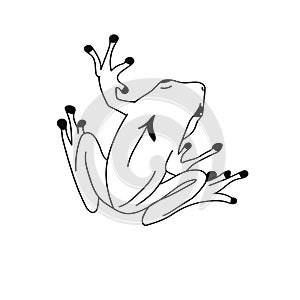 Frog silhouettes vector image black