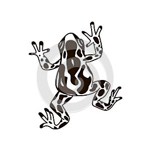 Frog silhouettes vector image black