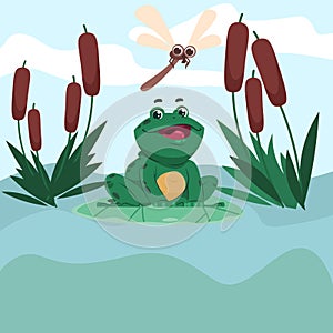 Frog sits on lake in reeds, dragonfly flying. Wild amphibian catching insects, croaking cute aquatic animal, amphibious