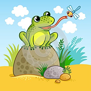 The frog sits on a large rock.