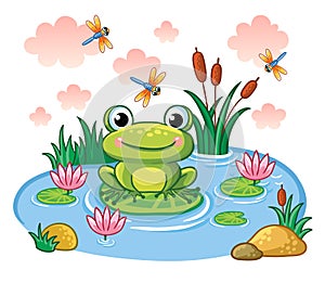 The frog sits on a leaf in the pond.