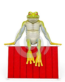 Frog is sitting in the box