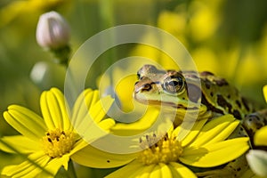 Frog sitting in the grass created with ai