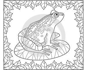 Frog sitting on a leaf of a water lily in a frame of leaves - a vector linear picture for coloring.