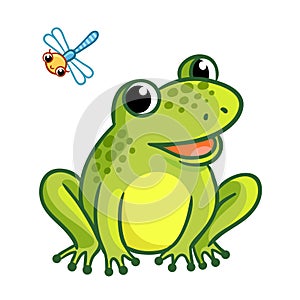 Frog is sitting on a white background.