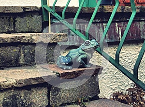 A frog on the stairs
