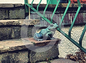 A frog on the stairs photo