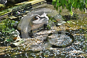 Frog statues in the wishing pond. Tenryuji zen buddhist temple. Arashiyama. Kyoto. Japan photo