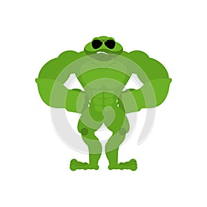 Frog Strong Cool serious. Toad powerful. Anuran strict. Vector illustration