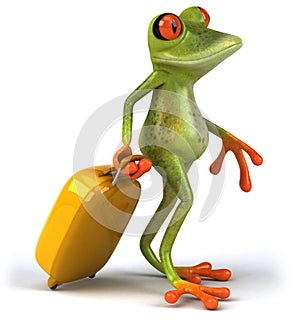 Frog and suitcase