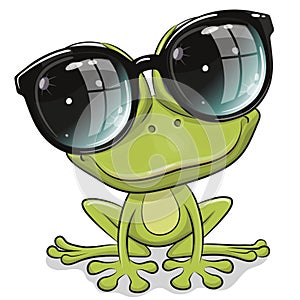 Frog in sun glasses isolated on a white background