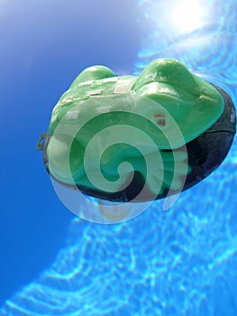 Frog and swimming pool