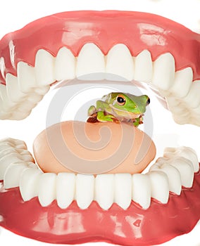 Frog in throat photo