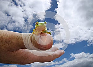 Frog on Thumb - Cloudy Sky