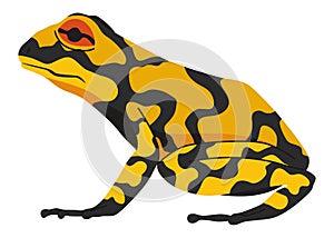 Frog or toad, amphibian animal. Type of froggy. Exotic tropical reptile. Flat vector illustration on white background