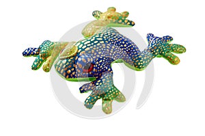 Frog toy
