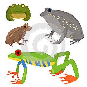 Frog vector cartoon tropical wildlife animal green froggy nature funny illustration toxic toad amphibian.