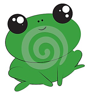 Frog, vector or color illustration photo