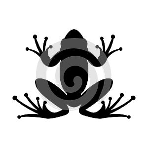 frog vector illustration black silhouette front side