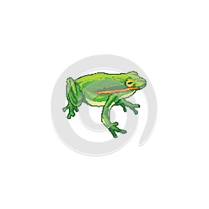 Frog. Vector illustration decorative design