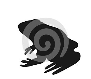 Frog vector silhouette illustration isolated on white background.