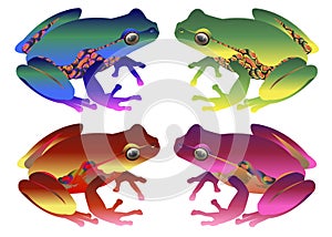 Frog vector toad green small illustration