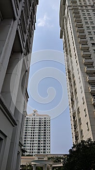 Frog view perpective of cream building