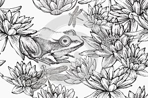Frog with water lilies, seamless pattern. Hand-drawn, vector illustration
