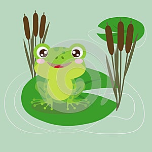 Frog on a water lily leaf in a pond, vector illustration
