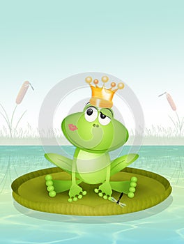 Frog on waterlily in the pond