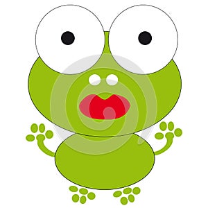 Frog on white background