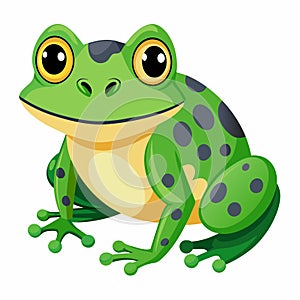 Frog white background Vector Illustration and Creative Unique Design