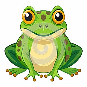 frog white background vector illustration