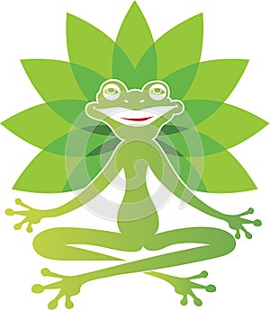 Frog yoga photo