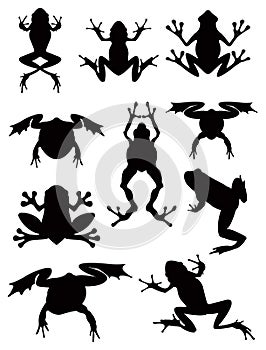 Frogs