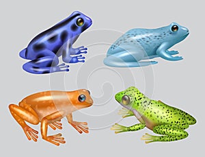 Frogs. Animal set of wild nature amphibian breeds decent vector realistic pictures templates of frogs in various poses