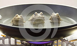 Frogs boiling in a pot on a stove