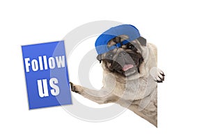 Frolic pug puppy dog with cap, holding up blue follow us sign, hanging sideways from white banner