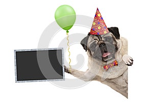 Frolic smiling birthday party pug dog, with balloon and hat decoration holding blank blackboard sign, isolated