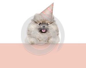 Frolic smiling pomaranian spitz puppy dog with birthday party hat, hanging with paws on pastel orange banner