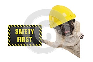 Frolic smiling pug puppy dog with yellow constructor helmet, holding up black and yellow safety first sign board
