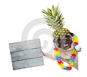 Frolic summer pug dog with hawaiian flower garland and pineapple hat, holding wooden sign, isolated on white background